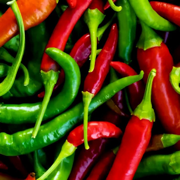 Chilli